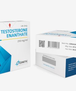 Testosterone Enanthate GP 1ml