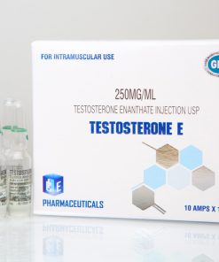 Testosterone E Amps ICE